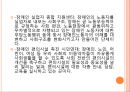 [NGO 단체 분석] 장애인권익문제연구소 & 장애인 이동권 연대.PPT자료 9페이지