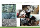 [녹색연합] NGO 기관 Green Korea 아름다운 지구인 < 녹색연합 > 의 소개, 주요활동, 인터뷰 소감 등 발표자료.PPT자료 17페이지