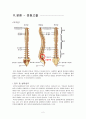 spinal stenosis 4페이지