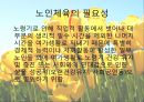 노인체육 - 주제선정의 이유, 노인의 정의, 노인의 특징, 노인 체육의 필요성과 중ㅇ뇨성, 노인 체육의 종류 10페이지