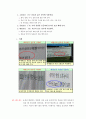 우리 주변의 문장부호들 (문장부호란?, 우리생활의 문장부호의 사용, 개별 문장부호 사용규정 및 사용실태, 문장부호 사용의 문제점) 5페이지