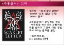 주홍글씨 낭만주의  21페이지