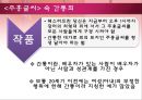 주홍글씨 낭만주의  28페이지