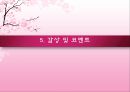 주홍글씨 낭만주의  33페이지