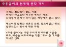 주홍글씨 낭만주의  36페이지