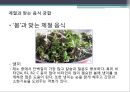 음식 궁합  22페이지