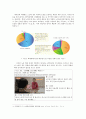 노인 학대 문제 정의, 유형, 특징 및, 실태, 심각성, 대안 정책 서비스, 개선방안 9페이지