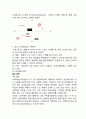 비너스(VENUS) 마케팅 광고전략 분석과 비너스 새로운 광고전략 기획제언 및 비너스 시사점과 한계점 분석 7페이지