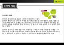 진에어 (JINAIR) 마케팅전략분석과 진에어 단점극복위한 마케팅전략 제언 (제주항공과 비교분석).pptx 10페이지