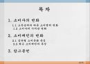 현대사회의 신소비 trend 2페이지