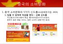 중국의 소비문화 4페이지