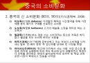 중국의 소비문화 10페이지
