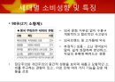 중국의 소비문화 16페이지
