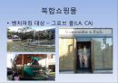 신 유통서비스 업태 현황 및 분석 20페이지
