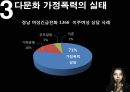 다문화 가정폭력의 실태와 문제점 및 실제 인터뷰, 다문화 가정폭력 해결방안 10페이지