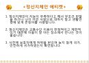 [장애인 교육 방법] 장애인 차별교육, 장애인 교육, 장애인 복지제도, 장애인 혜택, 장애인 인식 전환 방법 63페이지