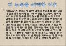 난치병 정복의 열쇠, BRCA2 3페이지
