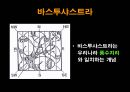 인도의 주생활과 주거형태 21페이지