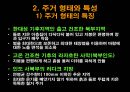 인도의 주생활과 주거형태 24페이지