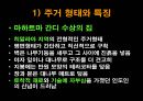 인도의 주생활과 주거형태 33페이지