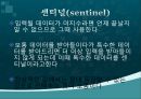 C언어 세미나 게시 용 7페이지