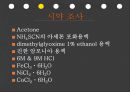 종이크로마토그래피 5페이지