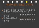종이크로마토그래피 10페이지