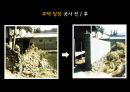 새마을운동 발표(0109) 23페이지