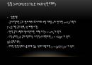 탄도 궤도 운동 실험 24페이지