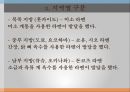 일본학개론 라멘 8페이지