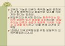 현대교육사조 11페이지