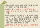 현대교육사조 19페이지