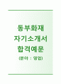 [동부화재해상보험자기소개서]동부화재해상보험자소서+[면접기출문제]_동부화재공채자기소개서_동부화재채용자소서_동부화재자기소개서_동부화재자소서 1페이지