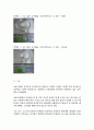 밀가루의 종류에 따른 글루텐함량(건부량, 습부량) 분석. 5페이지