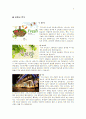 [창업계획서] 웰빙 샤브샤브 전문점 창업 사업계획서 - 사업소개, 사업계획, 시장동향, 마케팅전략, 예산계획 9페이지