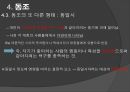 공격성 집단행동  22페이지