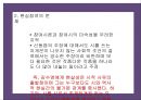 김수영 시론  33페이지