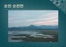 남도문화탐방 38페이지