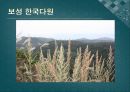 남도문화탐방 51페이지