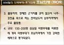 한국사(의병전쟁)(을미의병, 호남의병, 의병운동, 항일의병, 정미의병, 무장투쟁) 31페이지