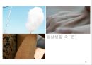 디자인 요소와 원리 40페이지