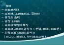 서양의 궁정음악  2페이지