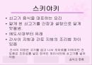 일본의 음식문화  11페이지