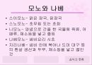 일본의 음식문화  27페이지