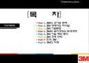쓰리엠의 등장 Appearance of 3m (3M기업재무분석) 2페이지