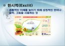인터넷 마케팅 Internet Marketing  39페이지