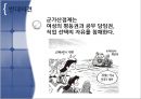 군가산점제  11페이지