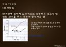 기억  36페이지