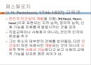 교육방법에 대한 관점과 변화 (소크라테스, 퀸틸리아누스) 30페이지