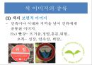 색의효과  5페이지